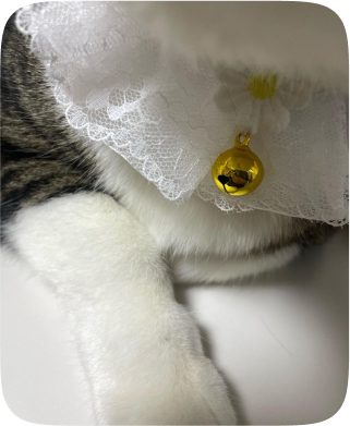 cat 1